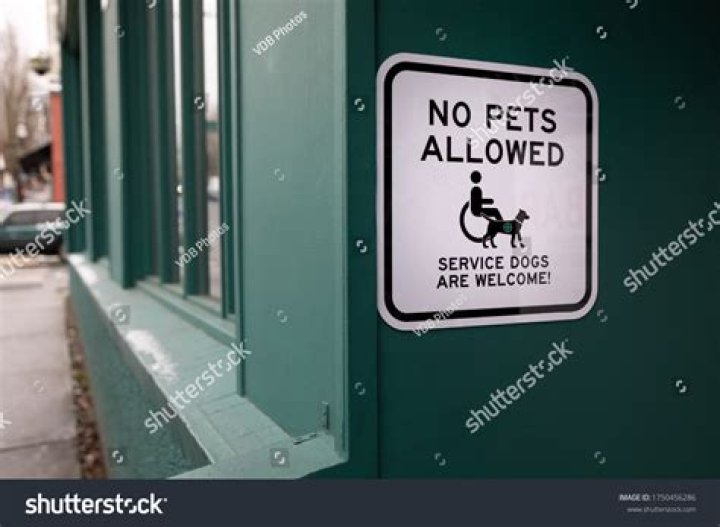 Are dogs allowed at the Bath and West Show?