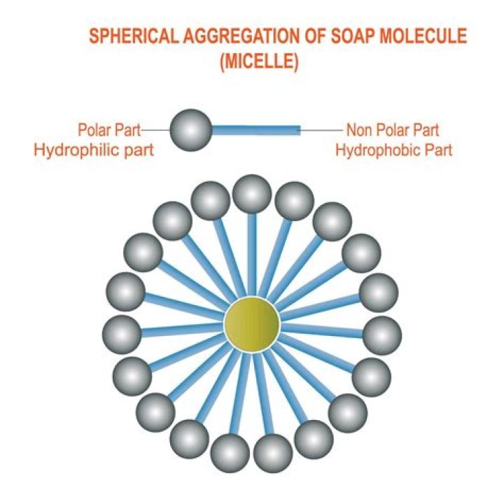 Are hydrophobic molecules polar or nonpolar?