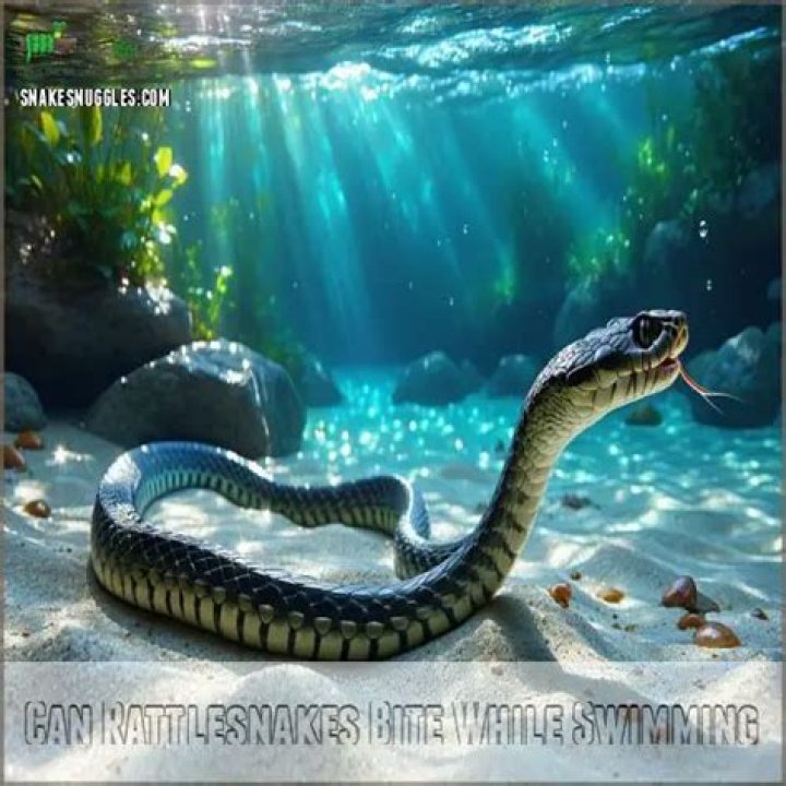 Can rattlesnakes bite while swimming?