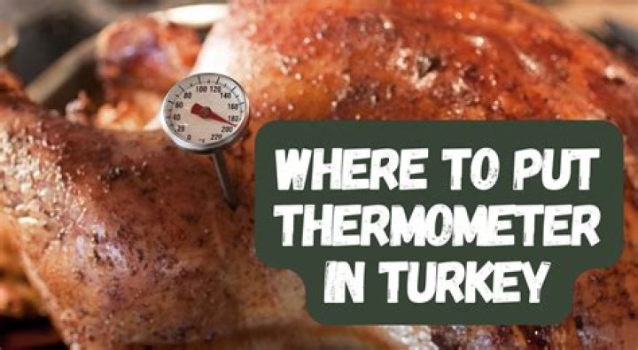 Can you check your temp with a meat thermometer?