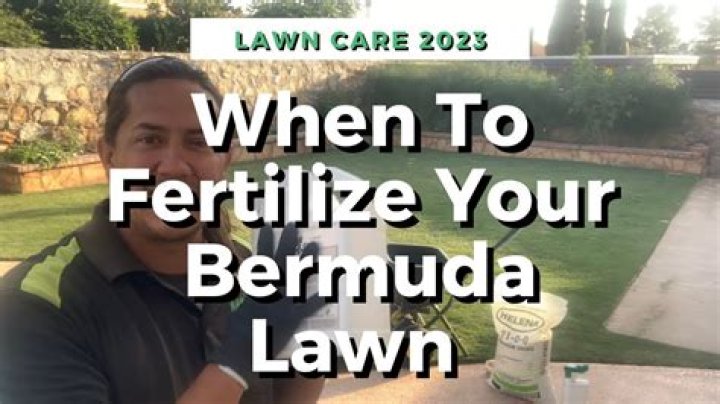 Can you fertilize new Bermuda sod?