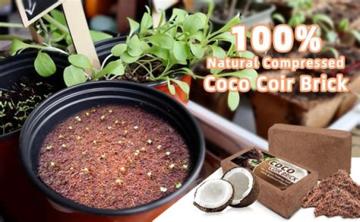 Can you mix coco coir with soil?
