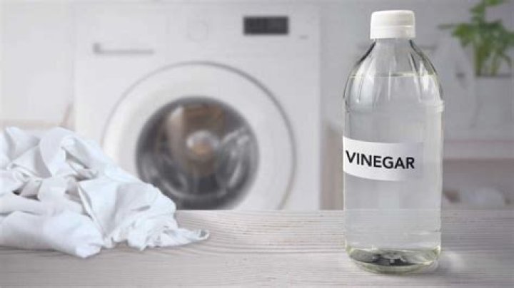 Can you wash clothes in vinegar?