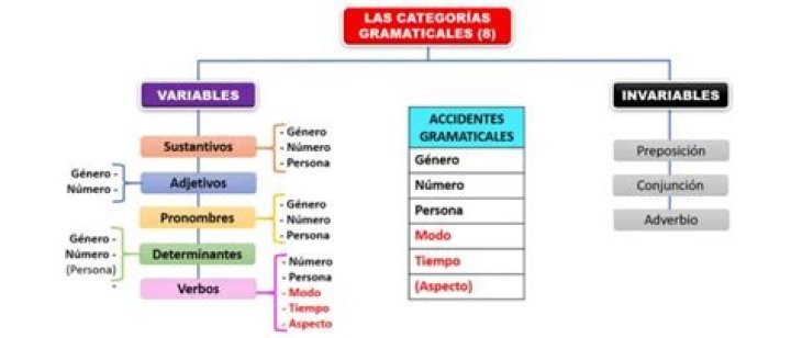 ¿Cuáles son las categorías gramaticales variables?