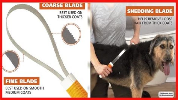 Does a shedding blade cut hair?