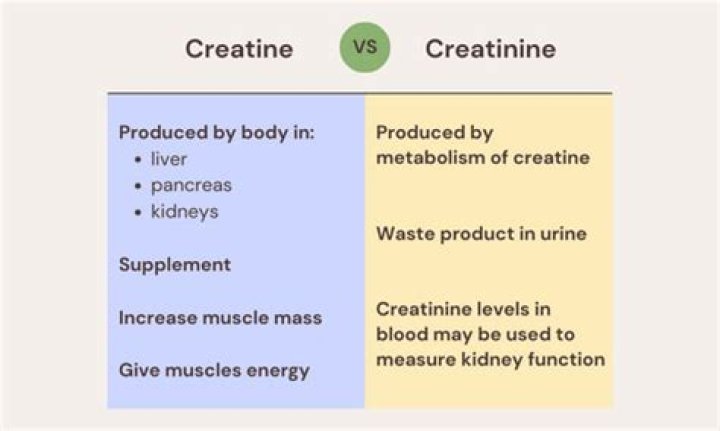 Does creatine make a noticeable difference?