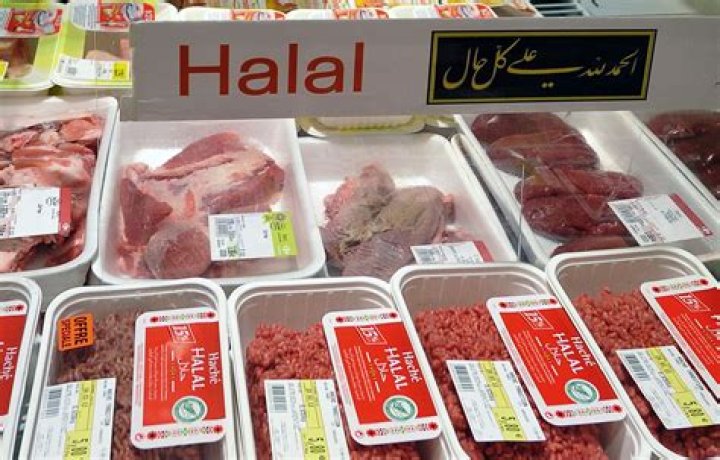 Does Dubai have non halal meat?