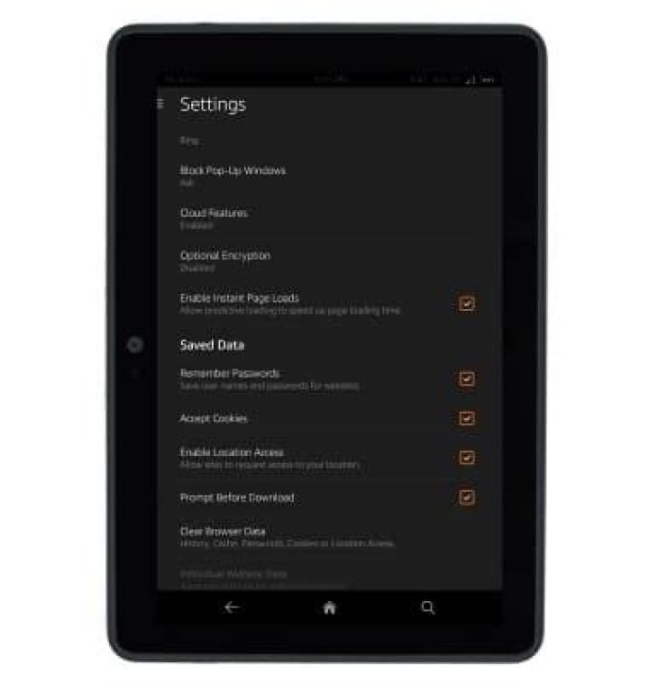 Does Kindle Fire have cellular data?