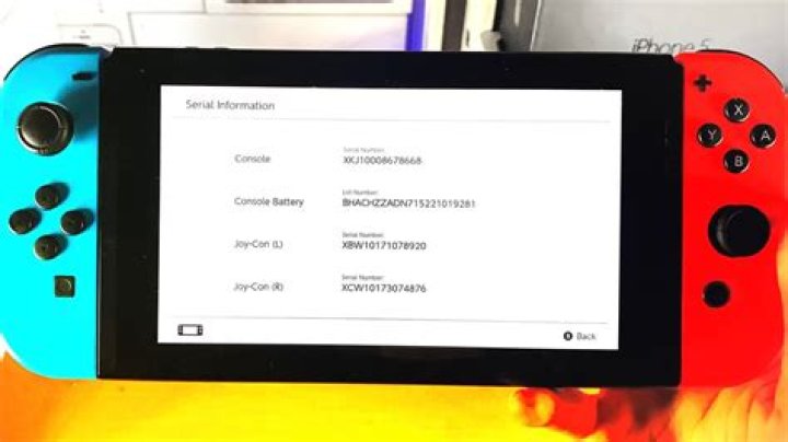 Does Nintendo switch have serial number?