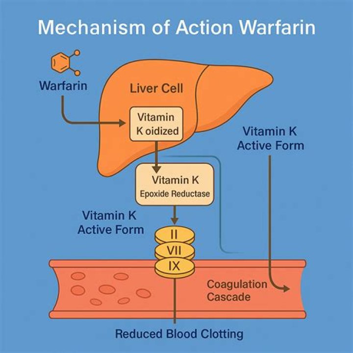 Does vitamin K make you poop?