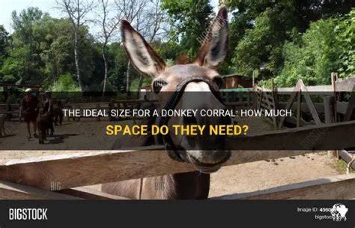 How big should a corral be?