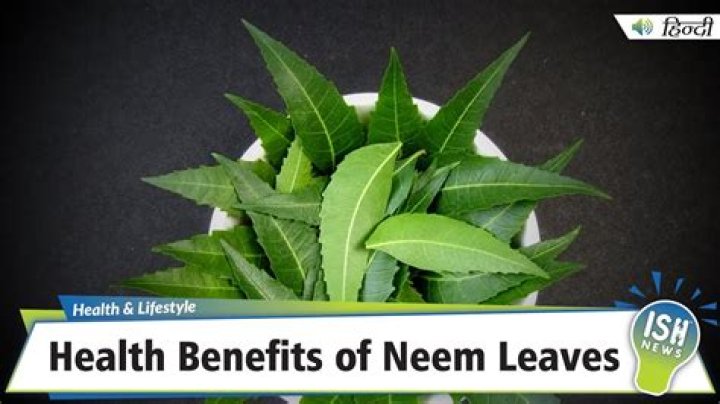 How can I dry neem leaves at home?