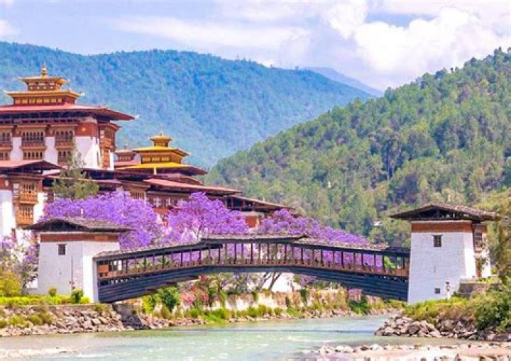 How can I go to Thimphu from Kolkata?