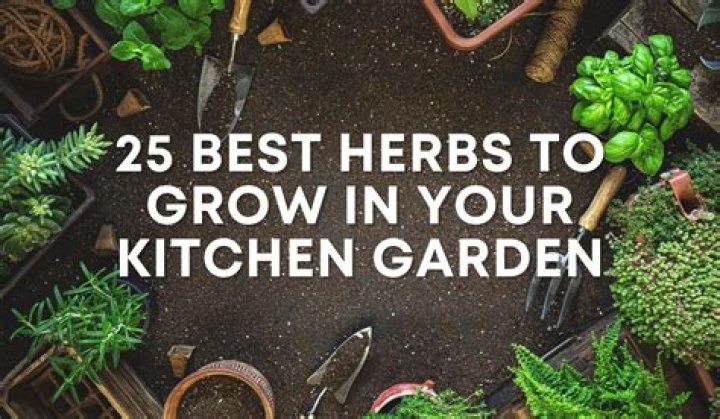 How can I grow herbs in my kitchen?