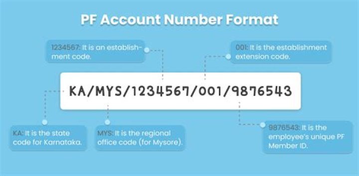 How can I know my PF number through PAN card?