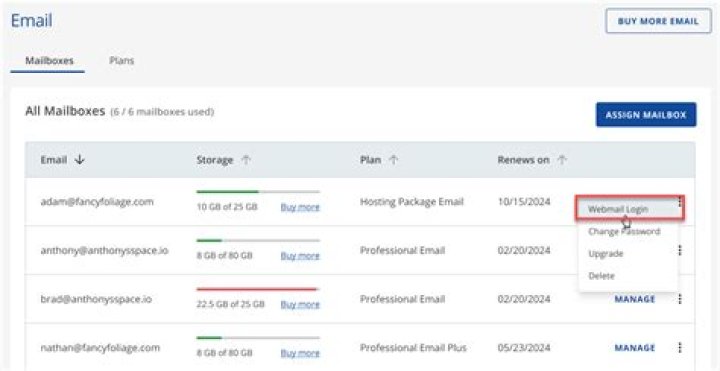 How do I access my Brcc email?
