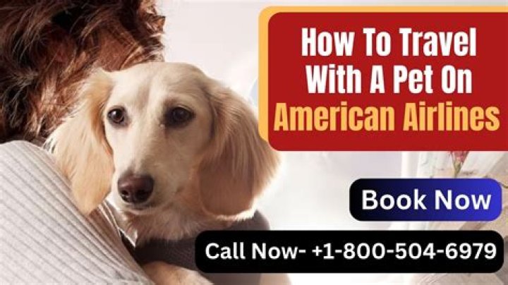 How do I add a pet to my United flight?