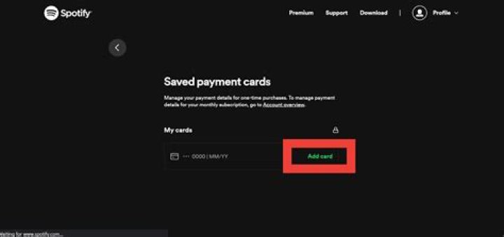 How do I update my Spotify payment on the app?