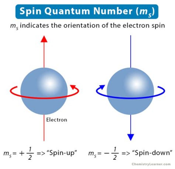 How do you calculate spin moment?