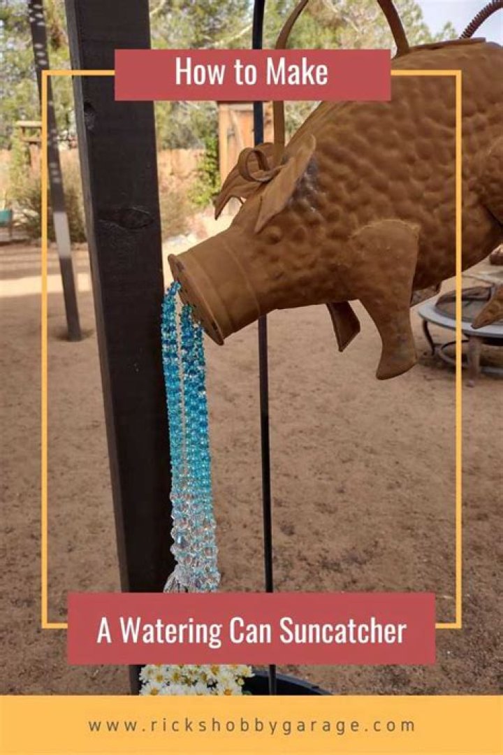 How do you can Suncatcher watering?