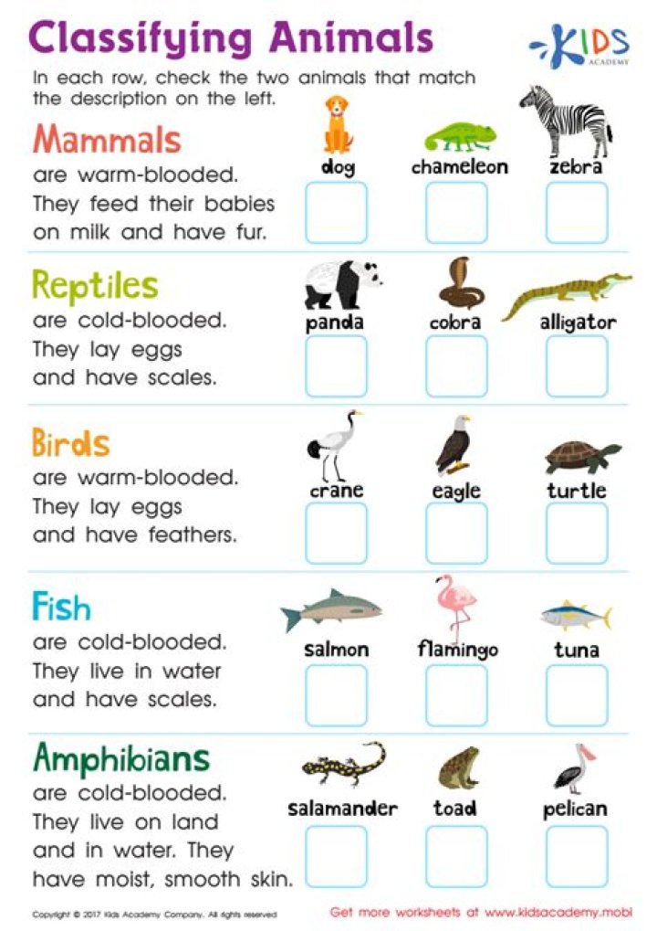 How do you classify reptiles?