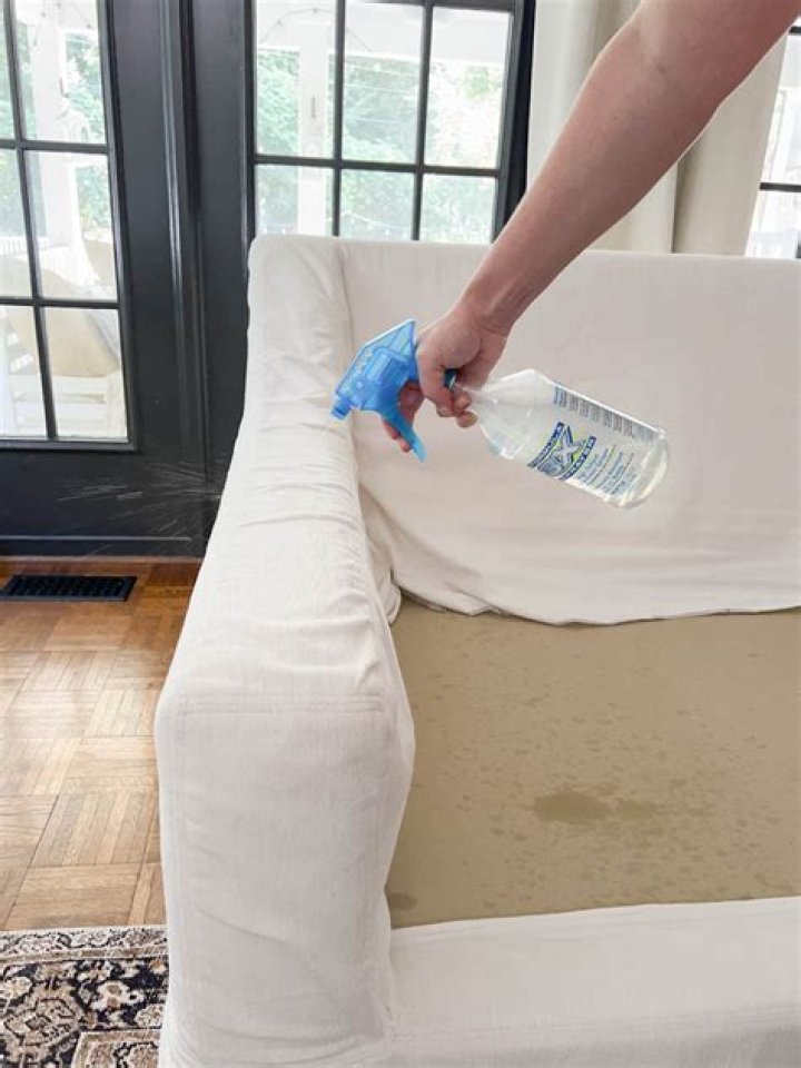 How do you clean a couch with white vinegar?