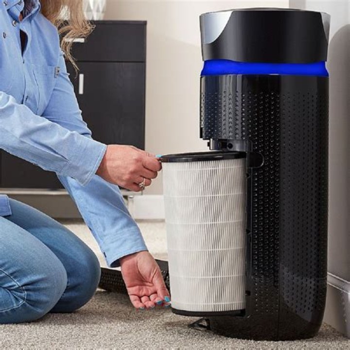 How do you clean a permanent air purifier filter?