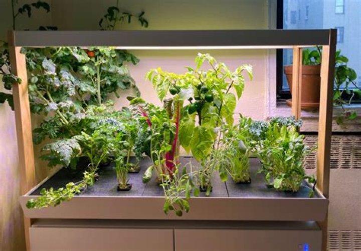How do you grow a garden indoors?