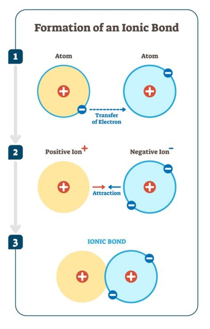 How do you know what ions are formed?