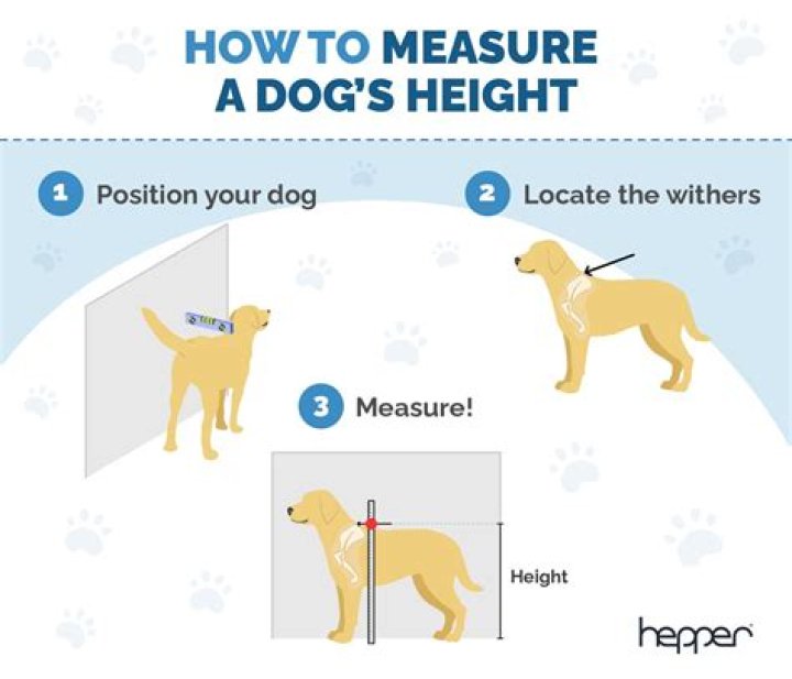 How do you measure the height of a flagpole?