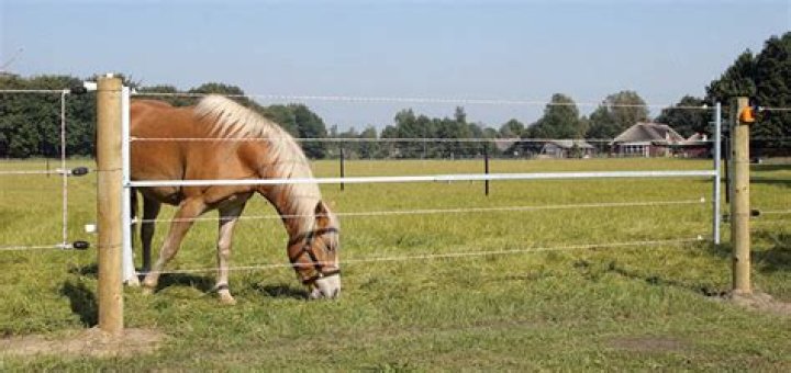 How do you set up a portable electric horse fence?