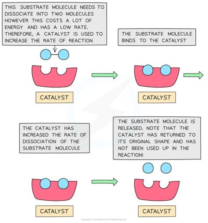 How does a catalyst provide an alternative route?