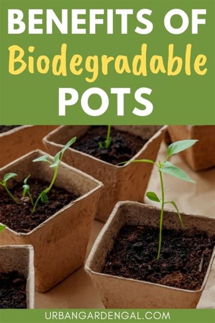 How long do biodegradable pots last?