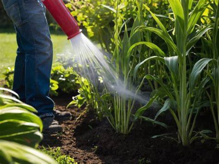 How long does bleach take to kill plants?