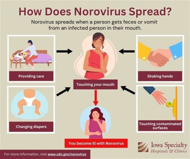 How long does it take for norovirus to die on surfaces?
