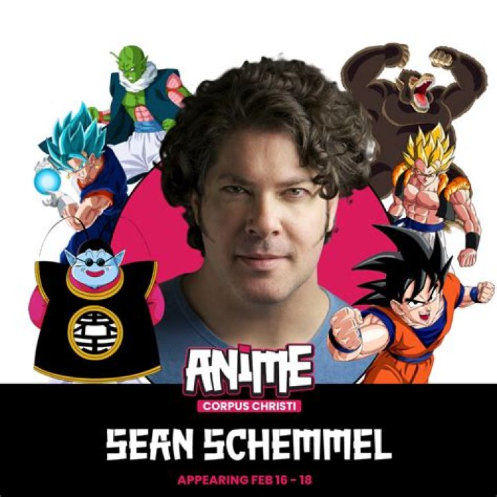How long has Sean Schemmel been the voice of Goku?