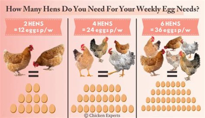 How many eggs do they take when you donate?