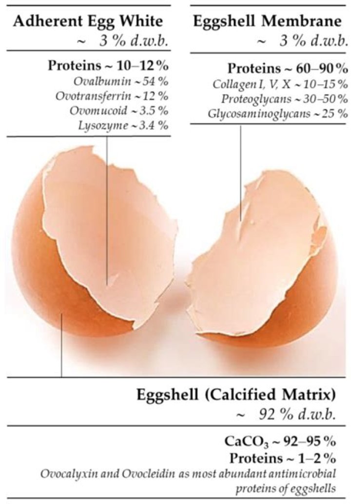 How much calcium is in egg shells?