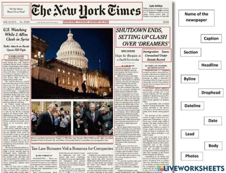 How newspapers are laid out?