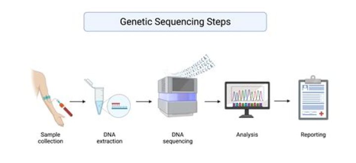 In which cellular component do you expect to find your genomic DNA?