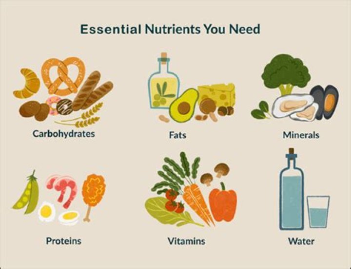 What are all the nutrients you need in a day?
