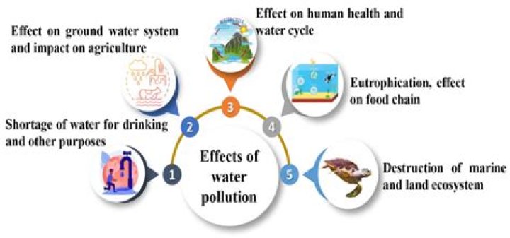 What are effects of water pollution?
