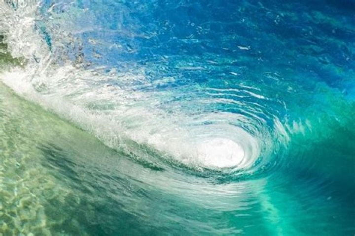 What are gyres in the world's ocean?