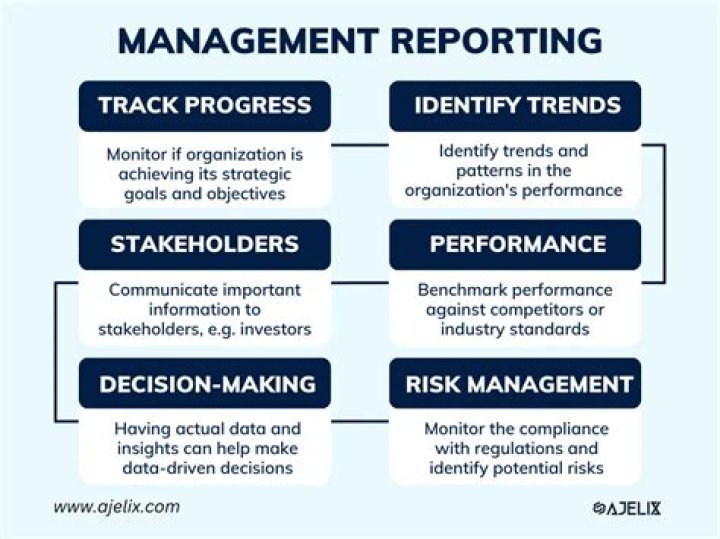 What are management reporting systems?