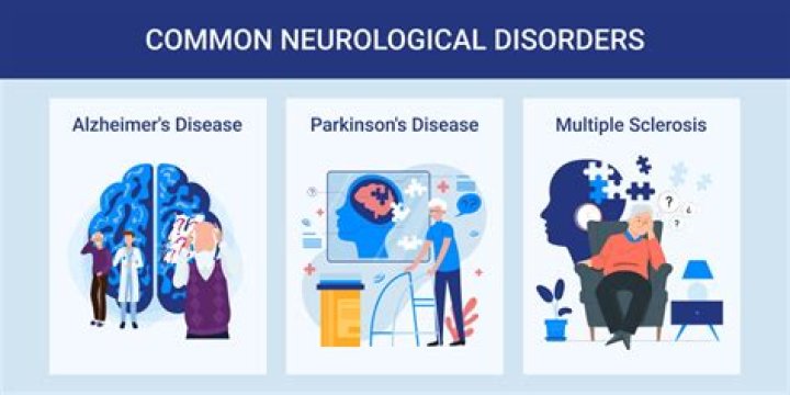 What are some common neurological disorders?