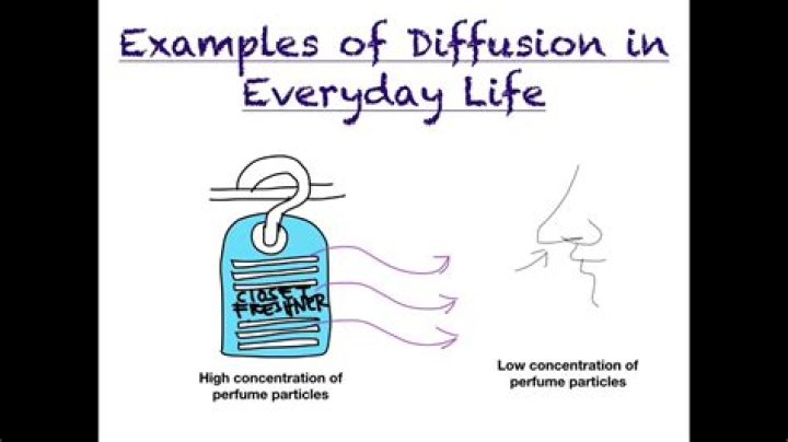 What are some examples of diffusion in everyday life?