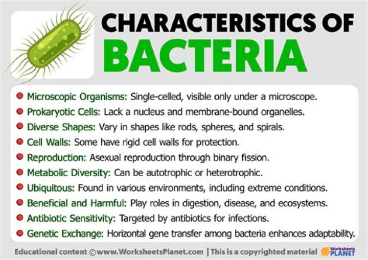 What are the characteristics of enteric bacteria?