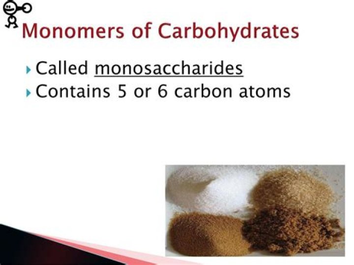 What are the monomers of carbohydrates?
