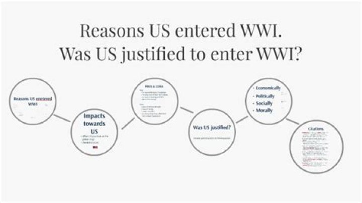 What are three reasons why the US entered ww1?