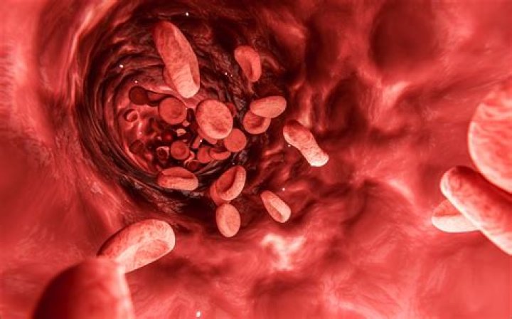 What are tiny thin walled blood vessels?